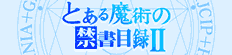 Ƃ閂p̋֏ژ^II